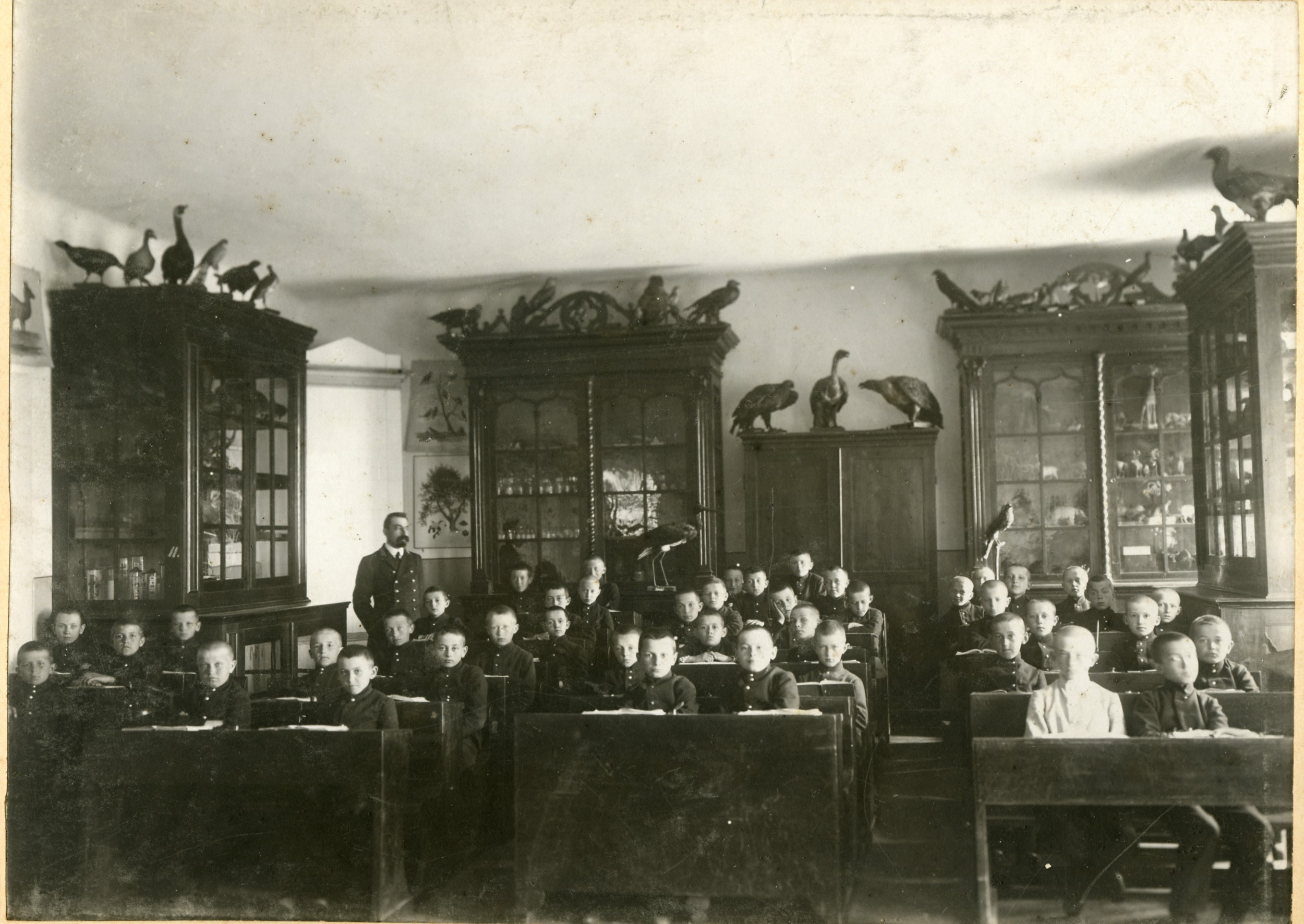 7. Урок зоології в Білоцерківській гімназії.